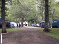AWCR9411